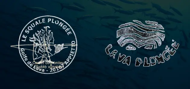 club plongee golfe de lava appietto ajaccio 20000 20167 2a corse corsica dive diving logo squale et lava 01