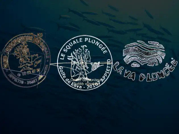 club plongee golfe de lava appietto ajaccio 20000 20167 2a corse corsica dive diving logo squale et lava 02